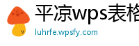 平凉wps表格怎样设密码